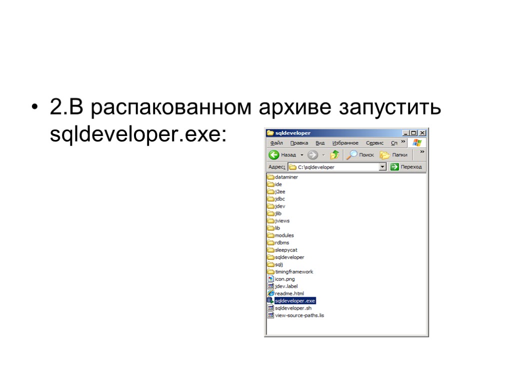 2.В распакованном архиве запустить sqldeveloper.exe: